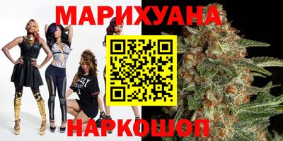 крисы Лесосибирск