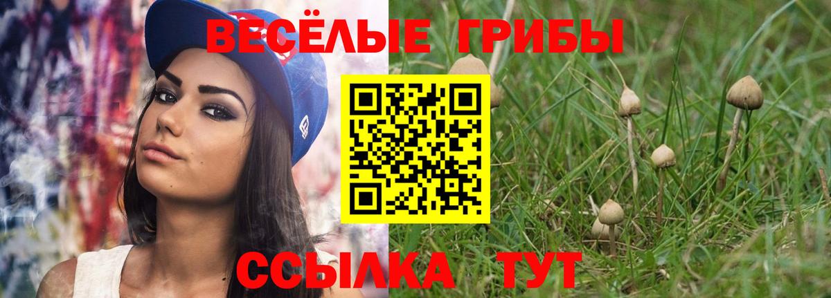 Янаул  Псилоцибиновые грибы Magic Shrooms  Галлюциногенные грибы мухоморы  даркнет сайт  Вход с VPN 